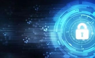 安领国际(08410) 香港IT安全解决方案龙头增长步伐放缓